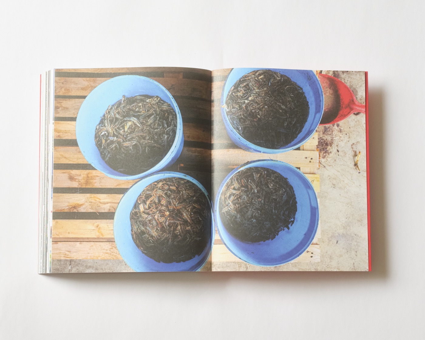 Cookbook no. 2 — gallery image row 2, column 1