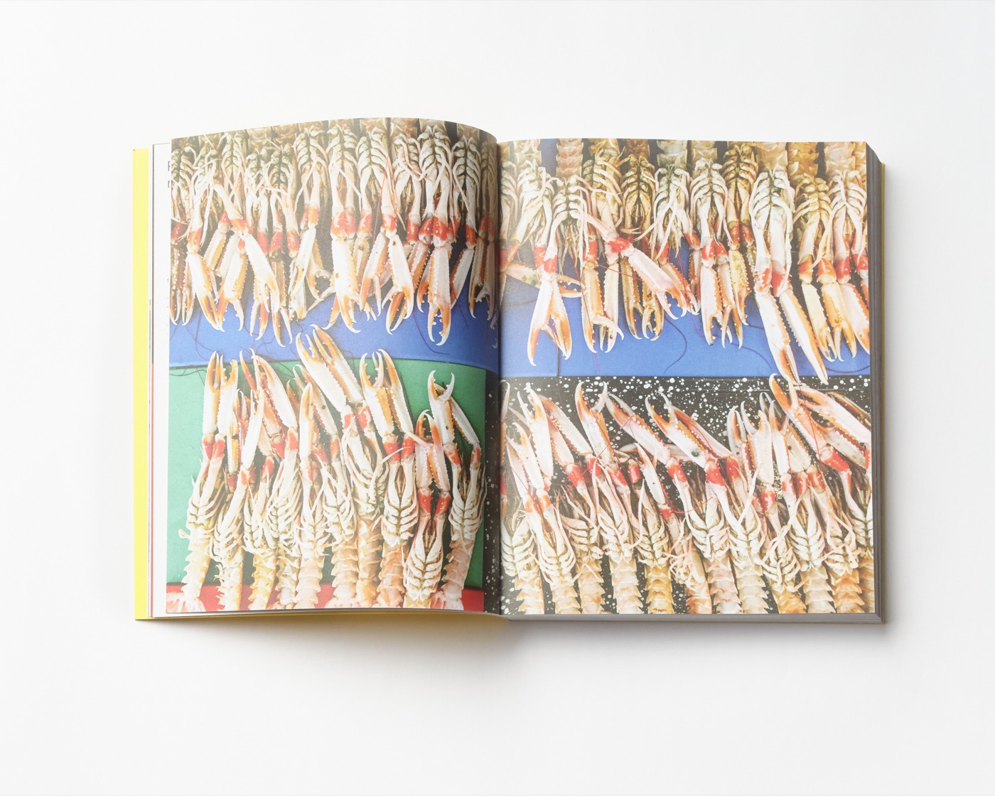 Cookbook no. 1 — gallery image row 1, column 1