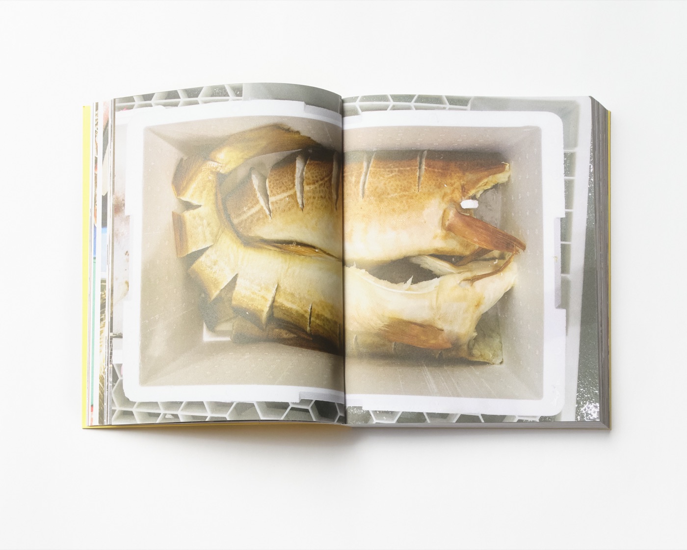 Cookbook no. 1 — gallery image row 1, column 2
